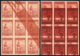 ARGENTINA: GJ.756, 1935 25c. Plowman, COLOR PROOF, Block Of 9 Printed On Paper For Specimens, With Multiple Additional I - Unused Stamps