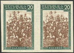 ARGENTINA: GJ.765AP, 20P. Cotton With Wmk, IMPERFORATE PAIR, MNH (+30%), VF Quality! - Unused Stamps