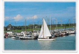 2941  NORDSEEBAD LANGEOOG, HAFEN - Langeoog