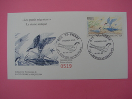 Enveloppe 1er Jour FDC SPM/Saint Pierre °519 - LES GRANDS MIGRATEURS - Oiseau La Sterne Arctique Oblitération 10-05-1995 - Storia Postale