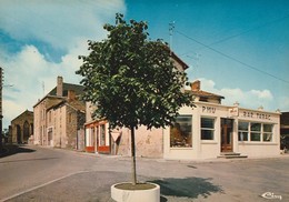 MONCOUTANT. - Le Bar-Tabac. - Cliché RARE - Moncoutant