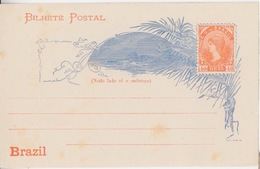 Entier Neuf (132x84) 40 Reis Orange (paysage, 15 Novembre 1889), Taches D'humiditée, Ligné Au Dos - Entiers Postaux