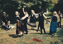 Les PIBOLOUS De La MOTHE ST HERAY( Deux-Sèvres) En Forêt De L'Hermitain.CPM - Danses