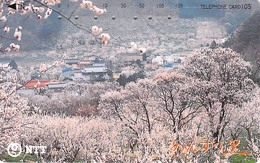 PAYSAGE - MONTAGNE - MASSIF - NATURE - LANDSCAPE - MOUNTAIN - MER - OCEAN - Télécarte Japon - Paysages