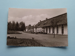 Café Im TIERPARK Neumünster ( Schöning ) Anno 19?? ( Voir / Zie Photo ) ! - Neumuenster