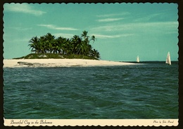 Beautiful Cay In The Bahamas  -  Ansichtskarte Ca. 1972    (11727) - Bahamas