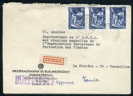 Hongrie - Enveloppe Commerciale En Exprès De Budapest Pour La France En 1971 - Réf AT 154 - Briefe U. Dokumente