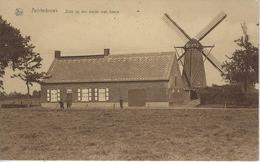 Achterbroek.    Zicht Op Den Molen Met Hoeve.   Molen. - Kalmthout