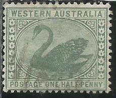 WESTERN AUSTRALIA OCCIDENTALE 1885 SWAN CIGNO ONE HALH PENNY 1/2p USATO USED OBLITERE' - Oblitérés