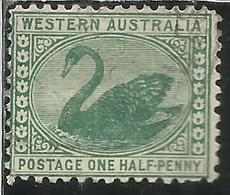 WESTERN AUSTRALIA OCCIDENTALE 1905 1912 SWAN CIGNO ONE HALH PENNY 1/2p USATO USED OBLITERE' - Usados