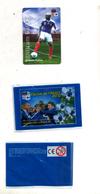 Magnet Carrefour Equipe France Football 2010   Gallas + Pochette - Sport