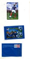 Magnet Carrefour Equipe France Football 2010  Diaby + Pochette - Sports
