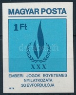 ** 1979 Emberi Jogok Egyetemes Nyilatkozata Vágott Bélyeg - Otros & Sin Clasificación