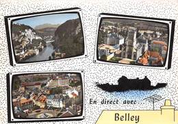 01-BELLEY - MULTIVUES - Belley