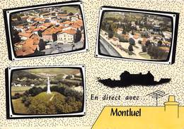 01-MONTLUEL- MULTIVUES - Montluel