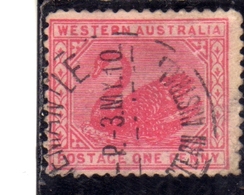 WESTERN AUSTRALIA OCCIDENTALE 1890 1893 SWAN CIGNO ONE PENNY 1p USATO USED OBLITERE' - Used Stamps