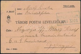 1914 Tábori Postára Küldött Lap 'Sz.V.V. BENEDEKFALVA' - Sonstige & Ohne Zuordnung