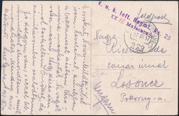 1917 Tábori Posta Képeslap 'K.u.k. Inft. Regmt. No.25.' + 'EP 272' - Otros & Sin Clasificación