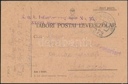 1917 Tábori Posta Levelezőlap 'K.u.K. Infanterieregiment No.25.' + 'EP 273' - Andere & Zonder Classificatie