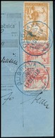 SHS 1919 Csomagszállító Szelvény  Horvát és Szlovén Bélyegekkel 'DUBRAVA' - Andere & Zonder Classificatie