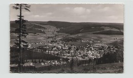 ALLEMAGNE NEUSTADT SCHWARZWALD - Neustadt Waldnaab