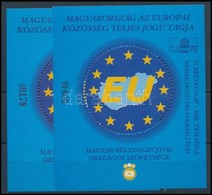 ** 2004 Magyarország Az Európai Közösség Teljes Jogú Tagja 2 Db Emlékív, Az Egyik Sorszám Fordított - Other & Unclassified