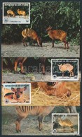 1984 WWF Zebra Duiker Sor Mi 881-884 CM - Andere & Zonder Classificatie