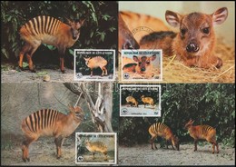 1985 WWF: Zebra-bóbitásantilop Sor 4 Db CM-en Mi 881-884 - Andere & Zonder Classificatie