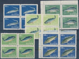 (*) 1962 Halak 5 Négyestömb (közte 2 ívsarki) Mi 408-412 - Altri & Non Classificati