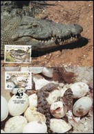 1984 WWF: Nílusi Krokodil Sor Mi 517-520 4 CM-n - Otros & Sin Clasificación