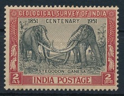 ** 1951 Indiai Földtani Intézet Bélyeg,
Indian Geological Institute Stamp
Mi 218 - Andere & Zonder Classificatie