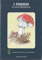 # I Funghi In Valle Brembana - Libricino Edito Dalla Comunità Valle Brembana - Natuur