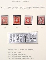 O 1869 Mi 23 Típusrekonstrukció, 4 Különféle Típusú Bélyeg - Autres & Non Classés