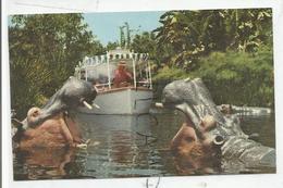 Disneyland Californie. Elephant Bathing Pool. - Disneyland