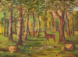 Cserna Jelzéssel: Őzek Az Erdőben. Olaj, Vászon, Keretben, 60×80 Cm - Andere & Zonder Classificatie