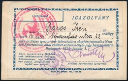 1934 Nemzeti Sportuszoda Fényképes Kedvezményes Igazolvány - Zonder Classificatie