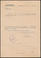 Cca 1944-1982 Magyar Külügyminisztériumi Levél Hivatali ügyben + Különféle Jugoszláviai Nagykövetek 5 Db ünnepi üdvözlők - Zonder Classificatie