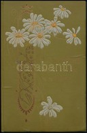 1909 Visszaemlékezés Iskolai Időmre. Brassó, 1909., Hynek és Hentschel-ny. Aranyozott, Festett, Szecessziós Egészvászon- - Non Classificati