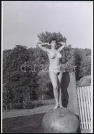 Cca 1972 Figurás Lányok, Szolidan Erotikus Felvételek, 13 Db Vintage Negatív + 3 Db Vintage Fotó és/vagy Mai Nagyítás, A - Andere & Zonder Classificatie