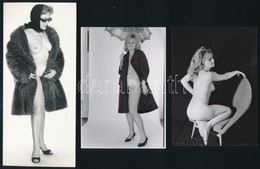 Cca 1973 Szolid Hölgyek Szolid Erotikája, 13 Db Vintage Negatív + 3 Db Vintage Fotó és/vagy Mai Nagyítás, A Negatívok és - Andere & Zonder Classificatie