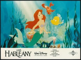 12 Db Filmfotó A Disney: Kis Hableány . C Filmről 18x24 Cm - Andere & Zonder Classificatie