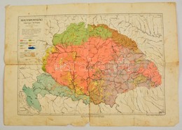 Cholnoky Jenő: Magyarország Néprajzi Térképe. [1903] Magyar Földrajzi Intézet, Lépték Nélkül, Ragasztott, Foltos, Kis Sz - Other & Unclassified