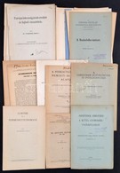 Vegyes Különlenyomat Tétel, 17 Db, Közte Szerzői Dedikációkkal (6 Db):  
Dr. Farkas Béla: Dr. Apáthy István. 1863-1922.  - Zonder Classificatie