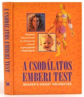 A Csodálatos Emberi Test.  Reader's Digest Kiadó Kft. 1996 . Kiadói Kartonálásban - Sin Clasificación