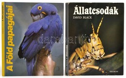 Romhányi Attila: A Föld Papagájai. Bp.,1995, Dunakönyv. Kiadói Kartonált Papírkötés.+David Black: Állatcsodák. Bp.,1987, - Sin Clasificación
