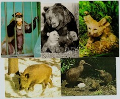 ** * Több Mint 140 Modern Állat Motívum Képeslap / Animals, More Than 140 Modern Postcards - Non Classés