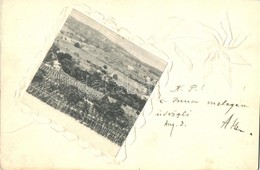 T2/T3 1901 Balatonalmádi, Almádi; Szőlőhegy. Díszített Képeslap - Zonder Classificatie