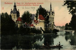 * T2 1909 Budapest XIV. Városliget, Magy. Kir. Mezőgazdasági Múzeum, Csónakázók. Taussig A. 7855. - Zonder Classificatie