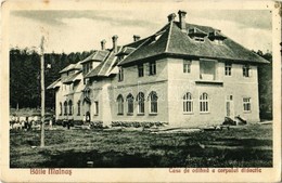 T2/T3 1930 Málnásfürdő, Malnas Bai;  Casa De Odihna A Corpului Didactic / A Nevelőtestület üdülőháza. Kiadja F. Formescu - Zonder Classificatie