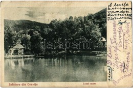 T3/T4 1927 Oravicabánya, Oravita; Lacul Mare / Nagy Tó. Weiss Félix Kiadása / Lake (fa) - Ohne Zuordnung